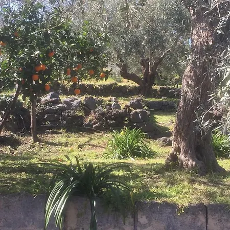 Agrumeto Del Campo