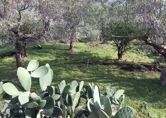 Agrumeto Del Campo Tatil Evi *