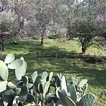 Agrumeto Del Campo 펜션 *