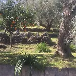 Agrumeto Del Campo