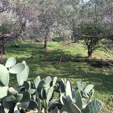 Agrumeto Del Campo Holiday home *